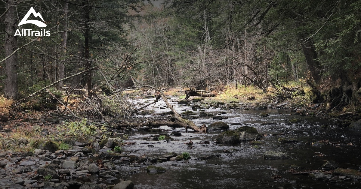 Best hikes and trails in Palermo Preserve AllTrails