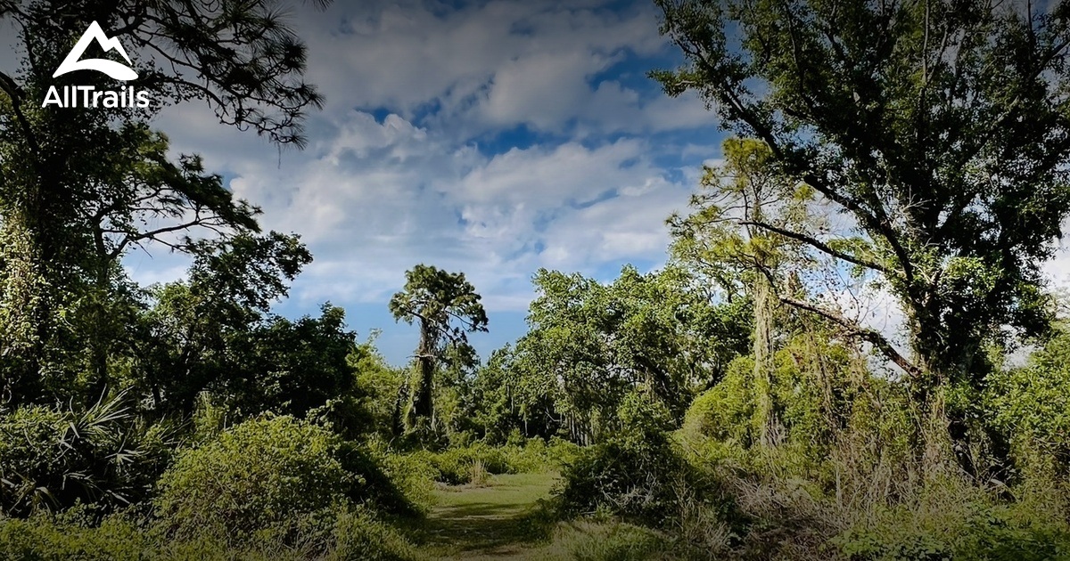 Best hikes and trails in Manasota Scrub Preserve AllTrails