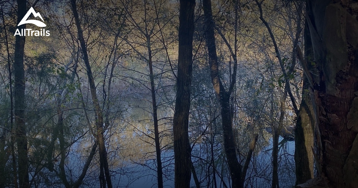 Best Hikes and Trails in Dowling Park AllTrails