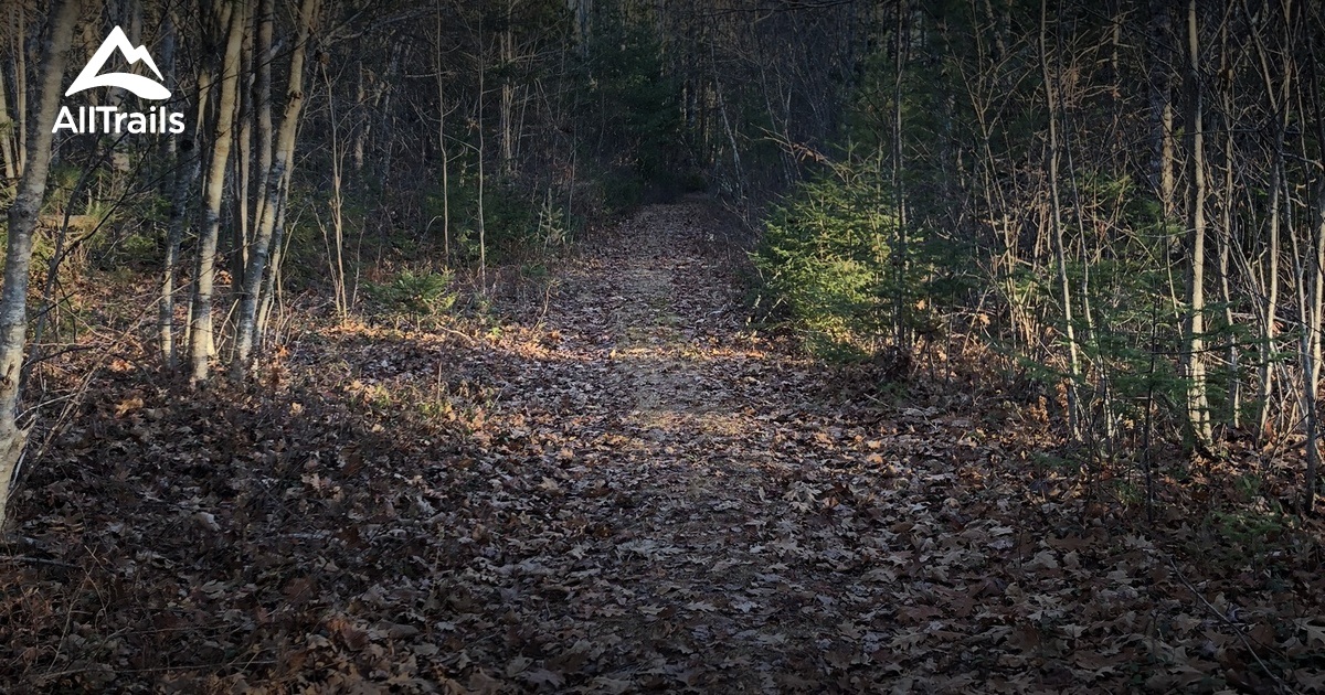 Best hikes and trails in Burkett Mills Preserve Trail AllTrails