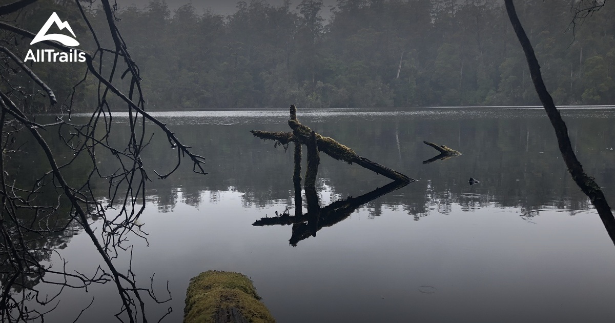 Best hikes and trails in Lake Chisholm Regional Reserve AllTrails