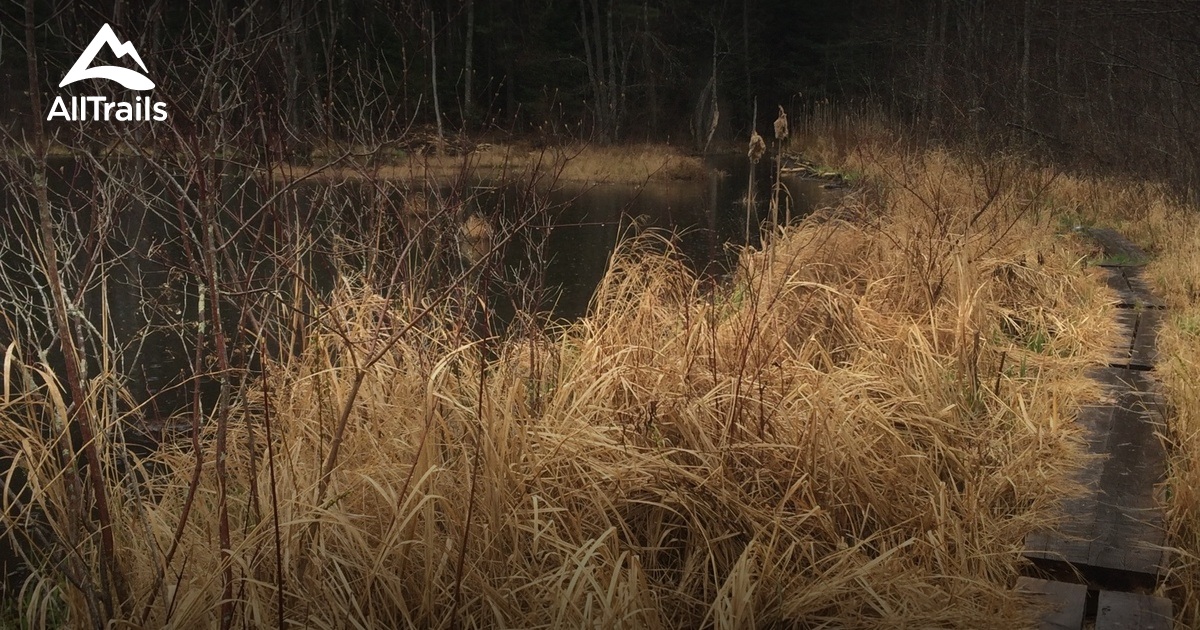 Best 10 Forest Trails in White Mountain National Forest, Pemigewasset Ranger District AllTrails