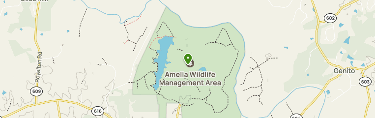 Best hikes and trails in Amelia Wildlife Management Area | AllTrails