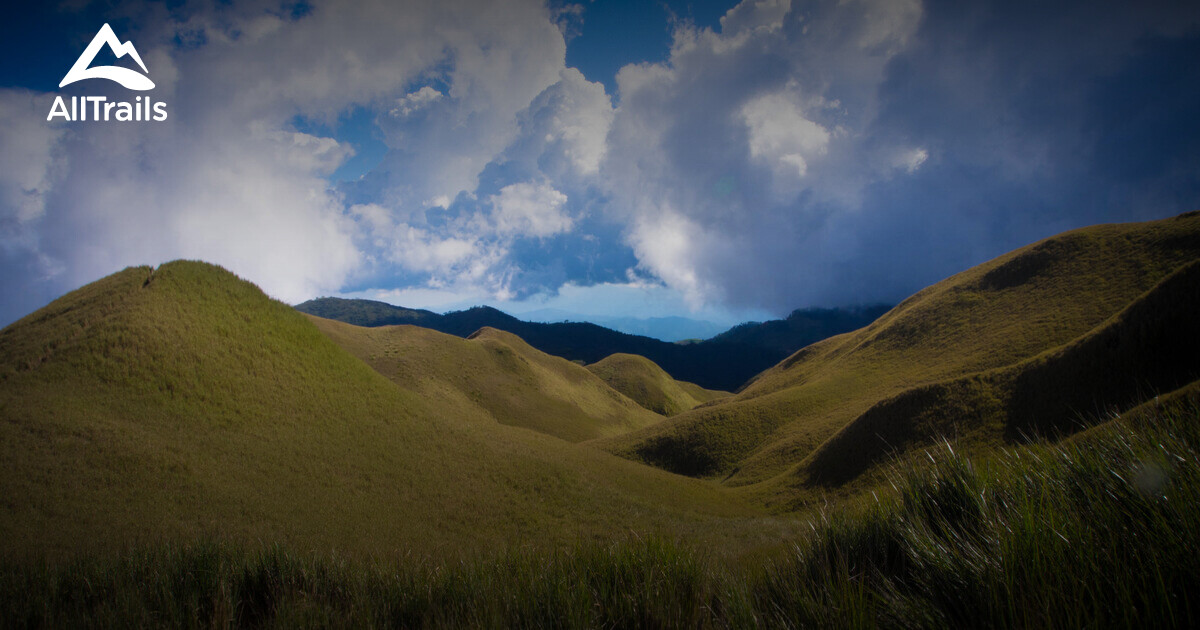 Best Hikes and Trails in Mt. Pulag National Park Grassland | AllTrails