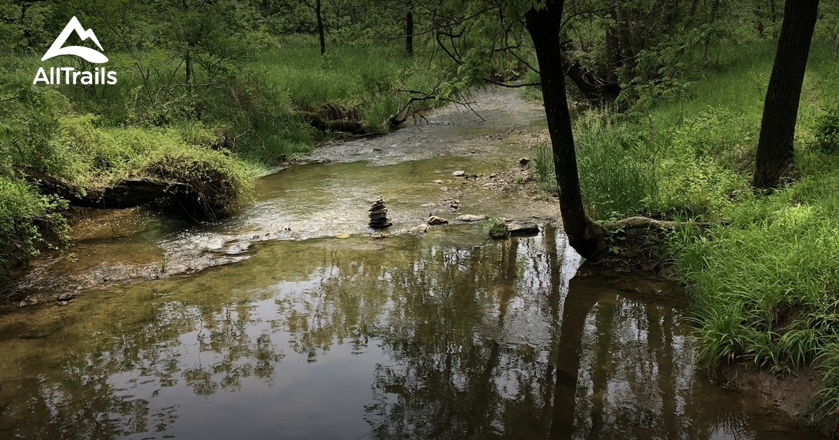 Best hikes and trails in BeeTree Preserve AllTrails