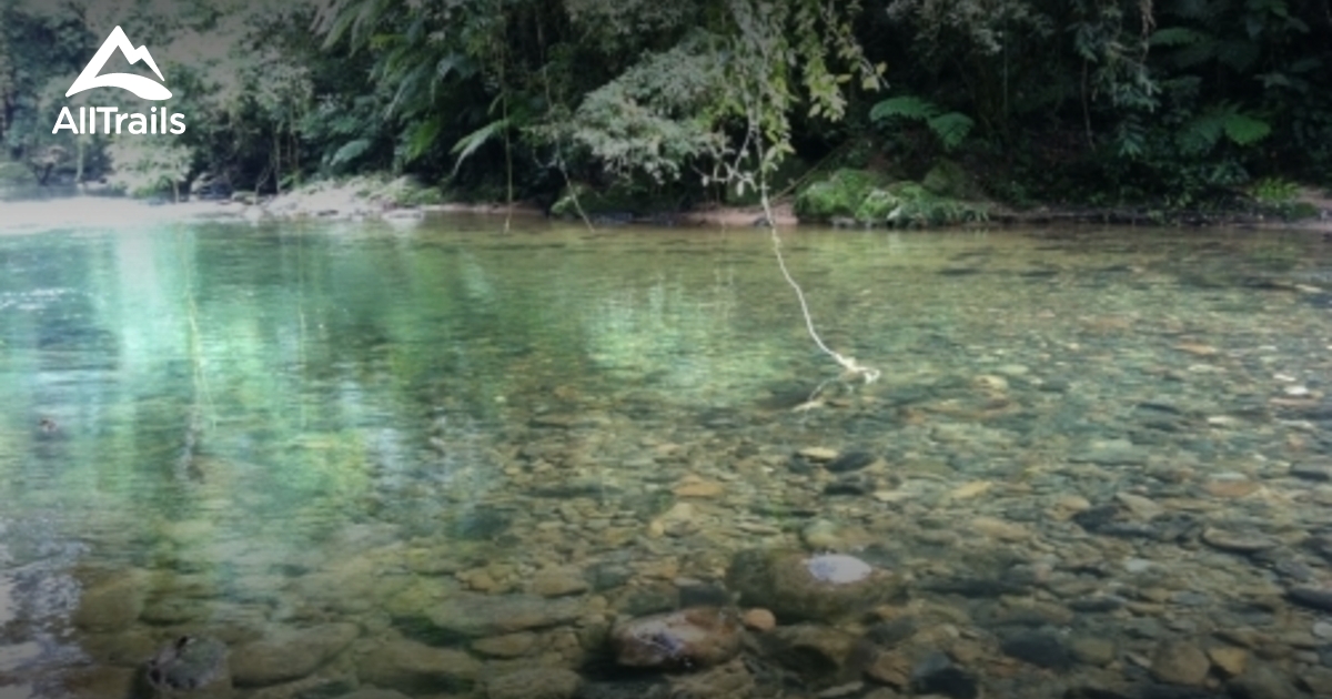 Parque Estadual Turístico do Alto Ribeira (PETAR): melhores trilhas em ...