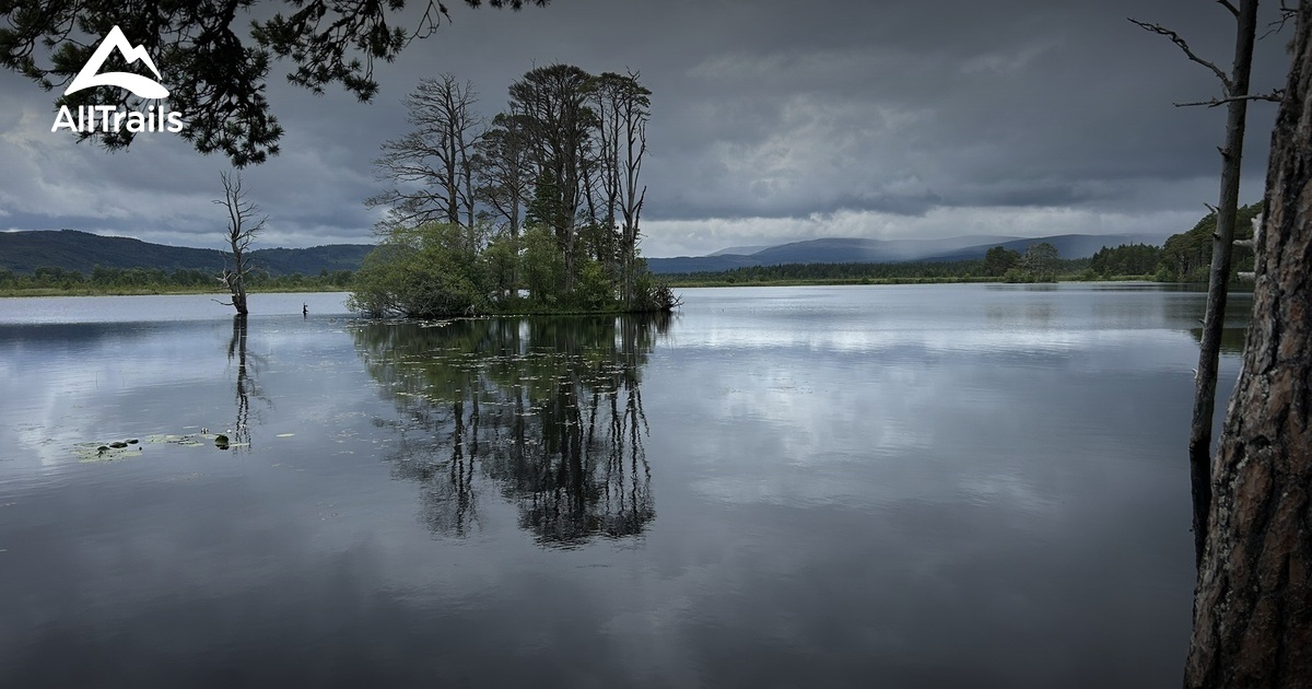 Die Besten Campingrouten in Abernethy National Nature Reserve | AllTrails