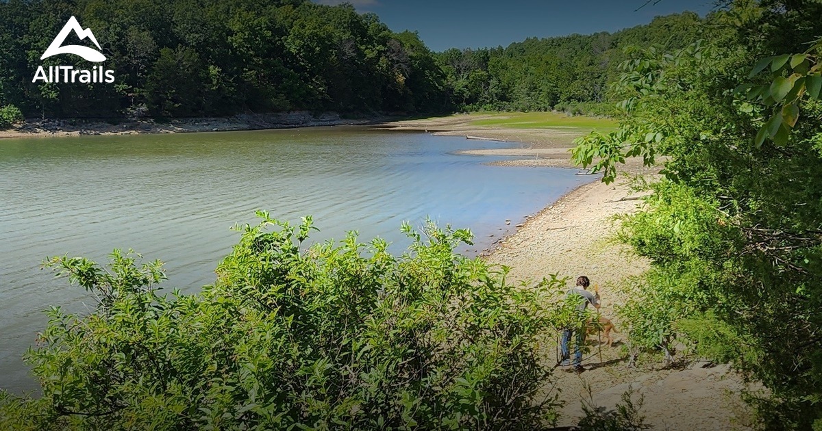 Best Forest Trails in Fellows Lake AllTrails