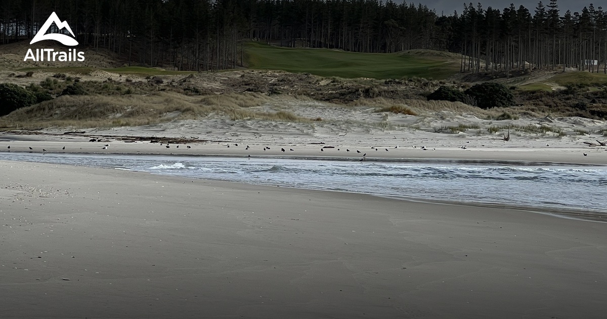 Best hikes and trails in Te Arai Regional Park AllTrails