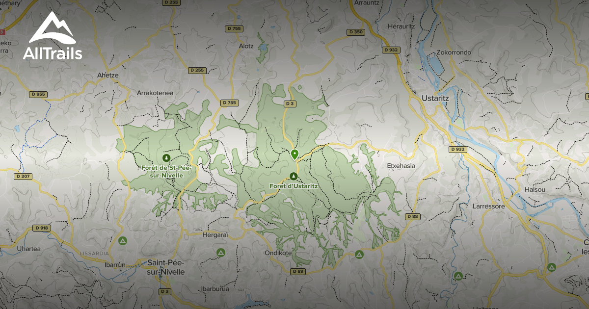 Best hikes and trails in Foret d'Ustaritz | AllTrails
