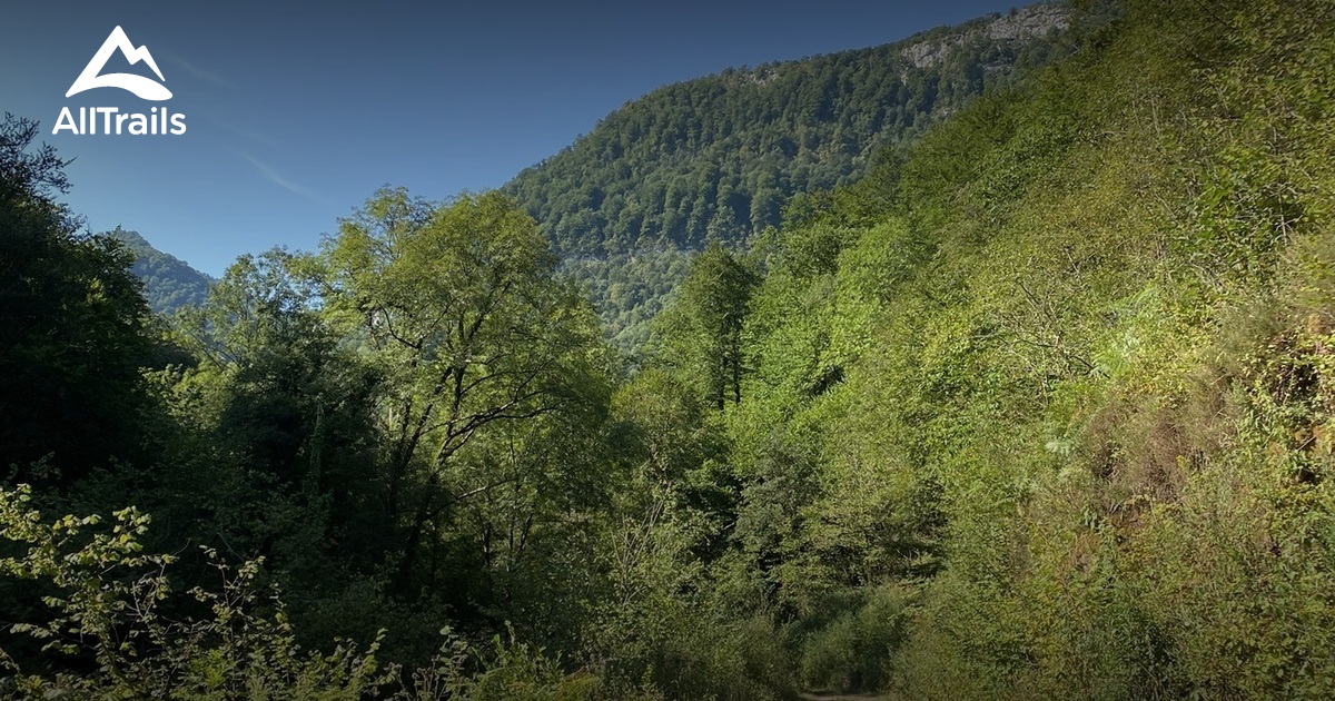 Best historic site trails in Forêt des Arbailles | AllTrails