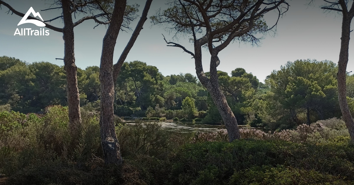 Réserve biologique dirigée de l'île SainteMarguerite les meilleures