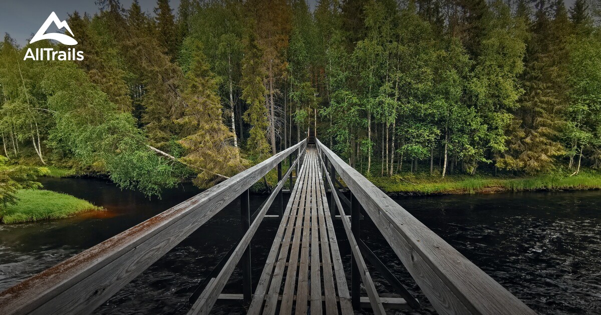 Best Hikes and Trails in Räktjärvsberget naturreservat | AllTrails