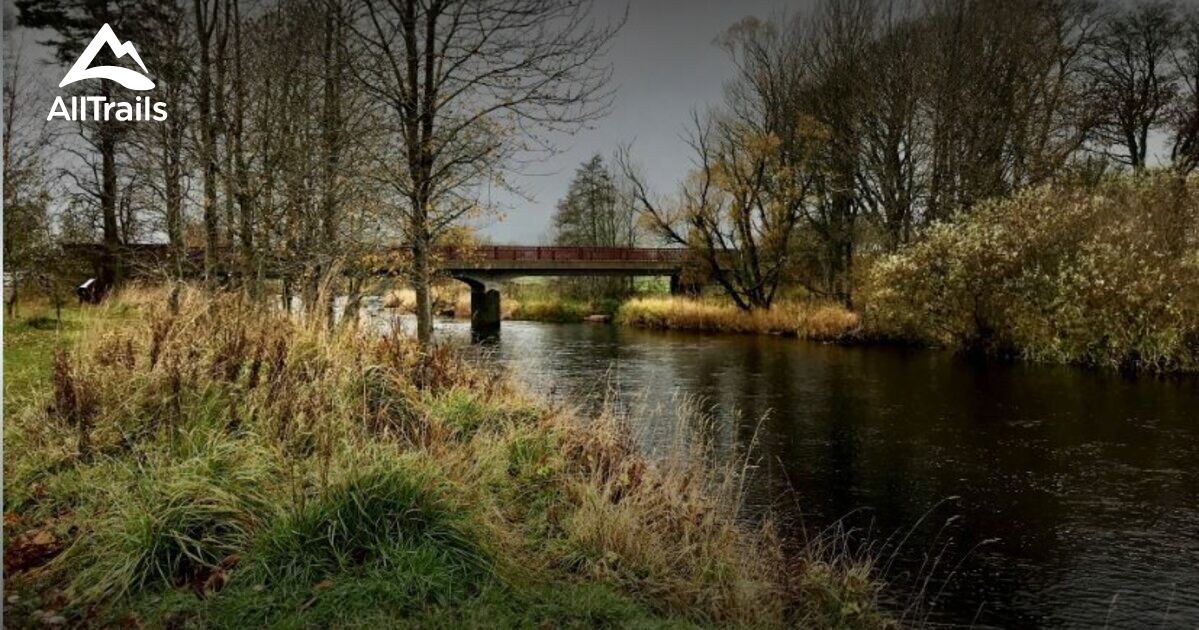 Best Hikes and Trails in Haughton Country Park AllTrails