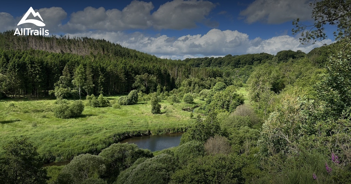 Best forest trails in Gight Wood Wildlife Reserve | AllTrails