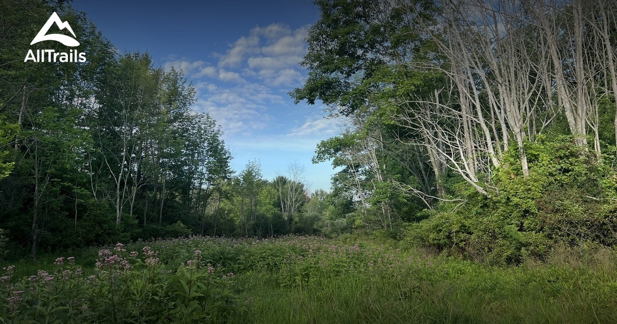 Best hikes and trails in Hickory Ridge Preserve | AllTrails