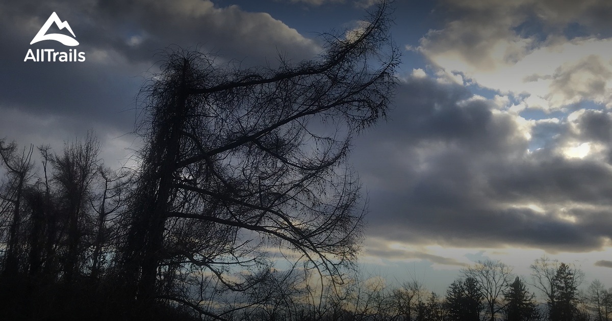 Best hikes and trails in MacGregor Preserve AllTrails