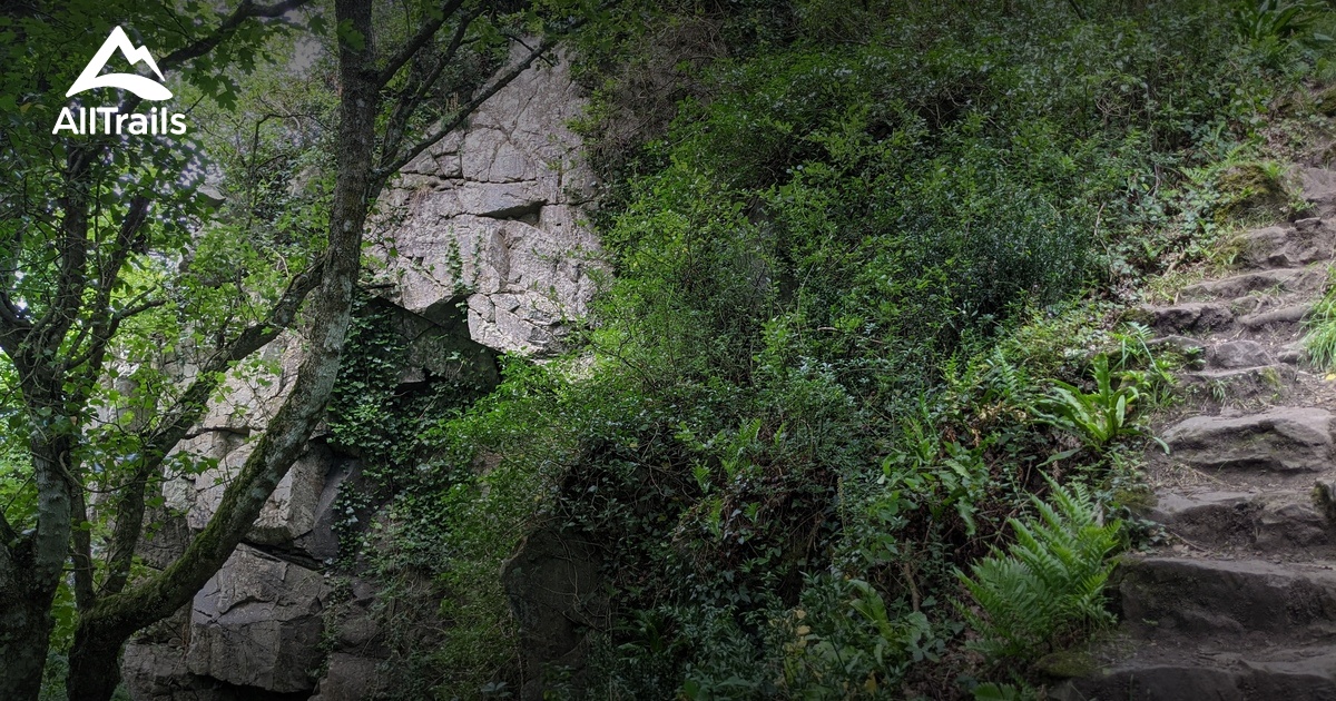 Best hikes and trails in Forêt départementale du Grand Rocher AllTrails