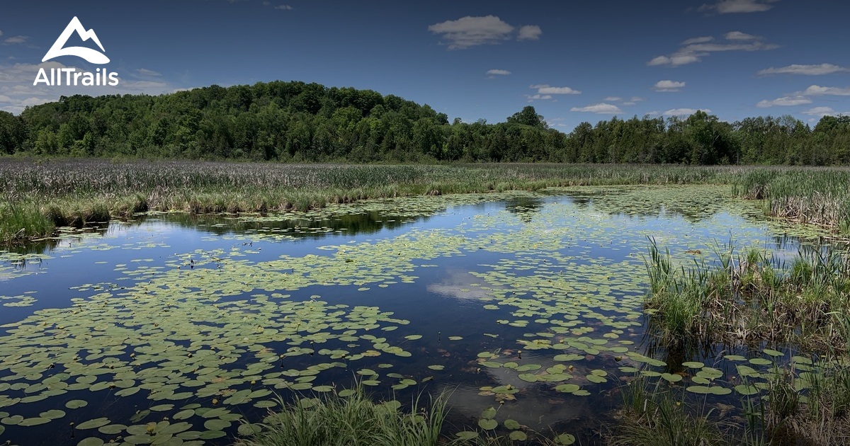 Best Hikes And Trails In Lake Simcoe Region Conservation Authority ...