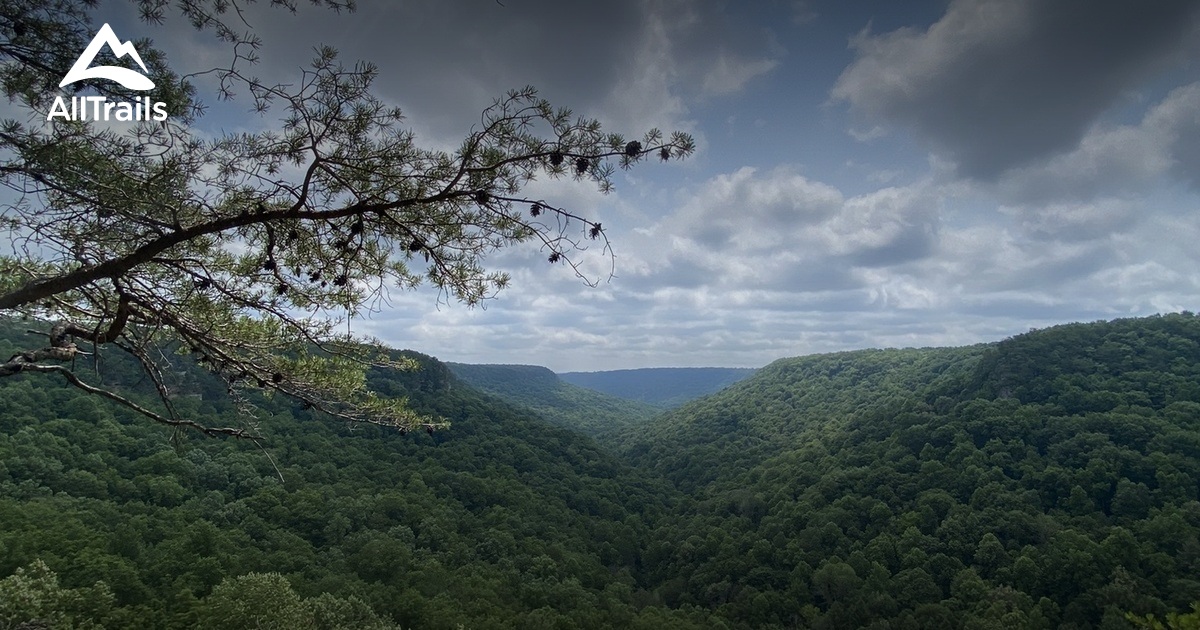 10 Best hikes and trails in Savage Gulf State Park | AllTrails