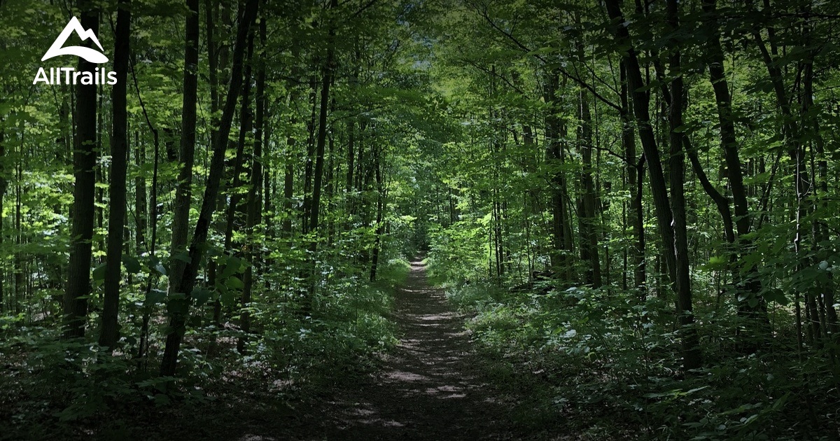Best hikes and trails in Anita Dutka-Buchin Nature Reserve | AllTrails