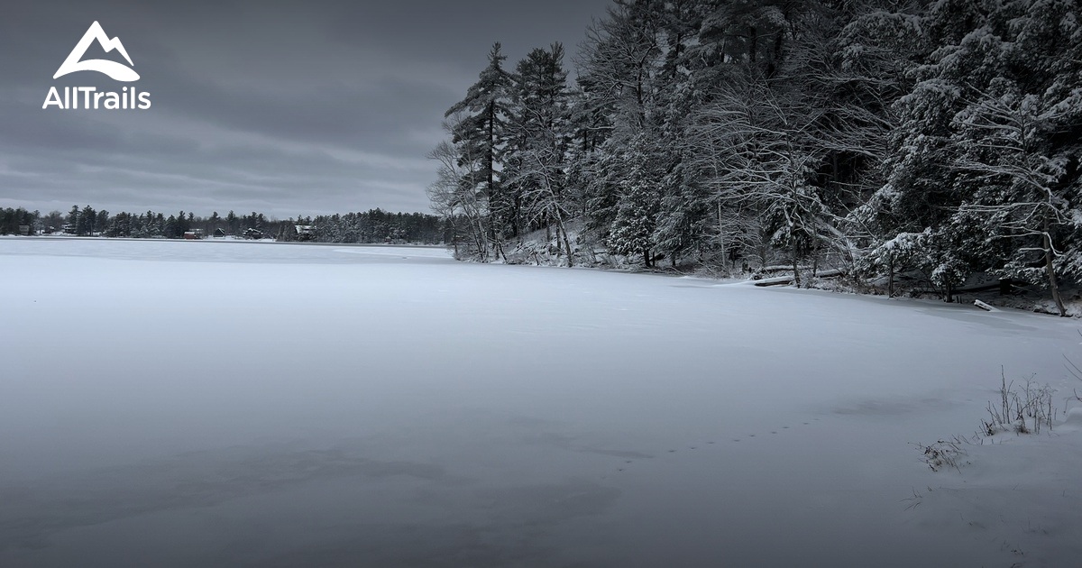 Best hikes and trails in Trout Lake State Forest AllTrails