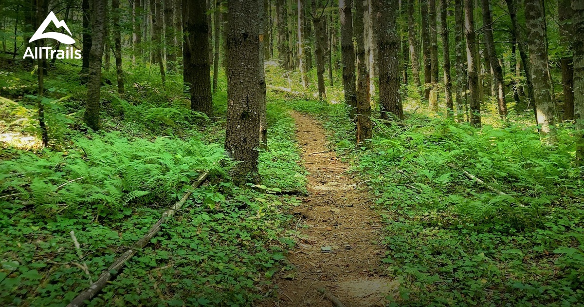 Tom Booe Best hikes and trails in Bryan Booe Memorial Riverpark | AllTrails