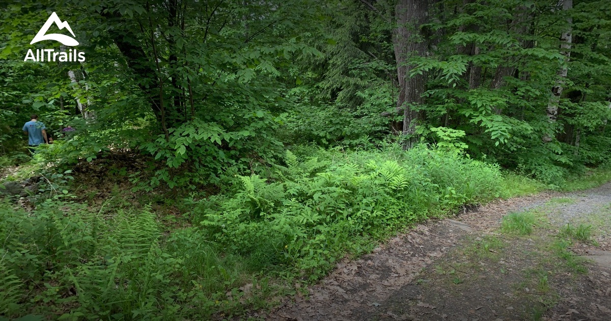 Best hikes and trails in Lyme Pinnacle Conservation Area AllTrails