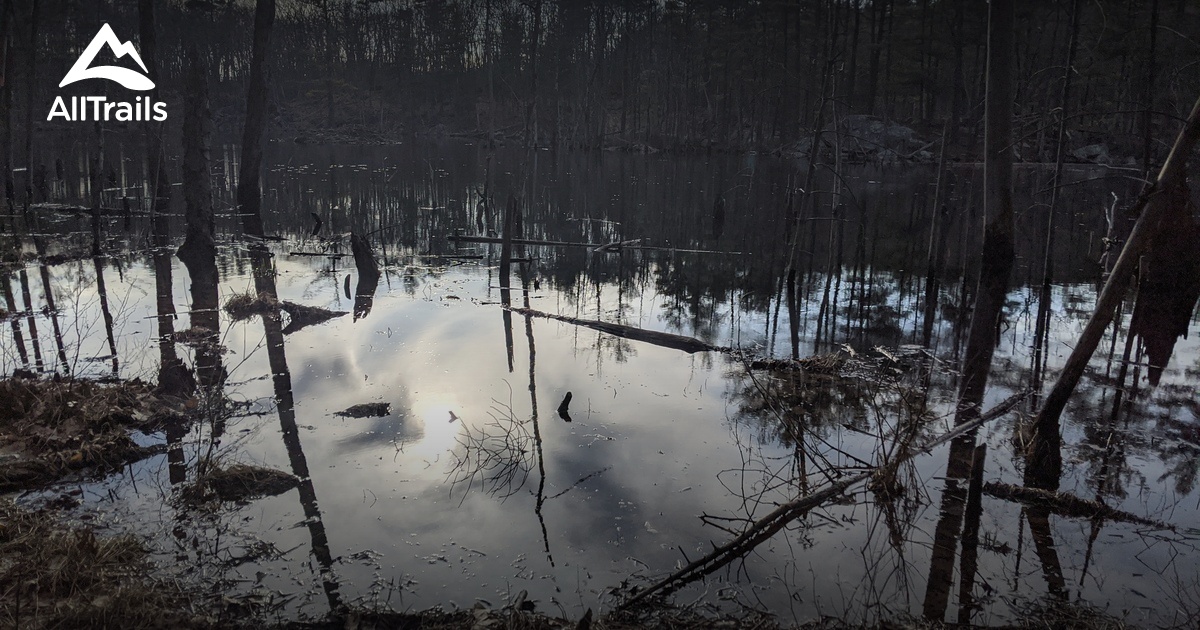 Best hikes and trails in Horse Meadows Knoll AllTrails