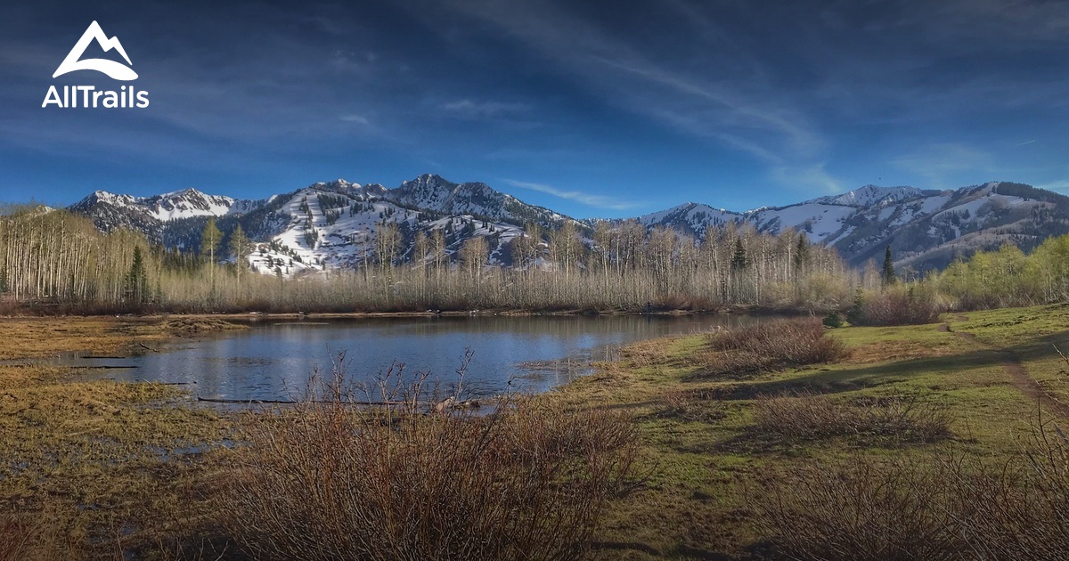 Best hikes and trails in Willow Heights Conservation Area AllTrails