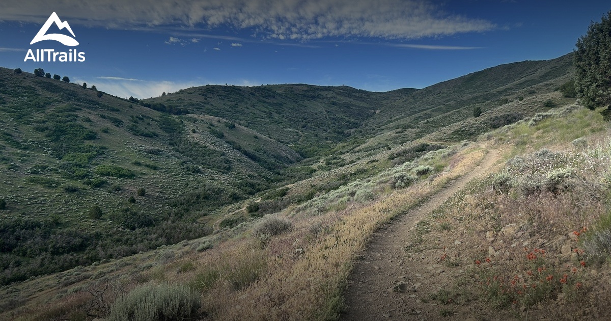 Best Hikes and Trails in Herriman Hills Open Space | AllTrails