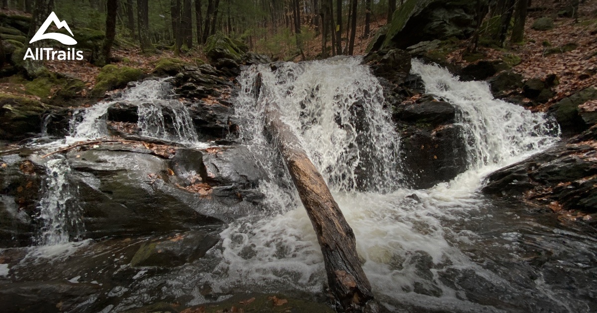 Best hikes and trails in Alan and Edgar Rice Natural Area | AllTrails