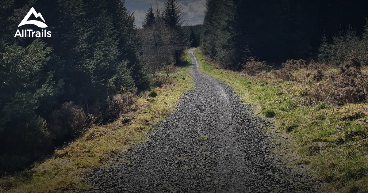 Best trail running trails in North - Parks Northern Ireland Antrim And Newtownabbey North Carn Forest 10198778 20230907163004000000 1200x630 3 41694106069 