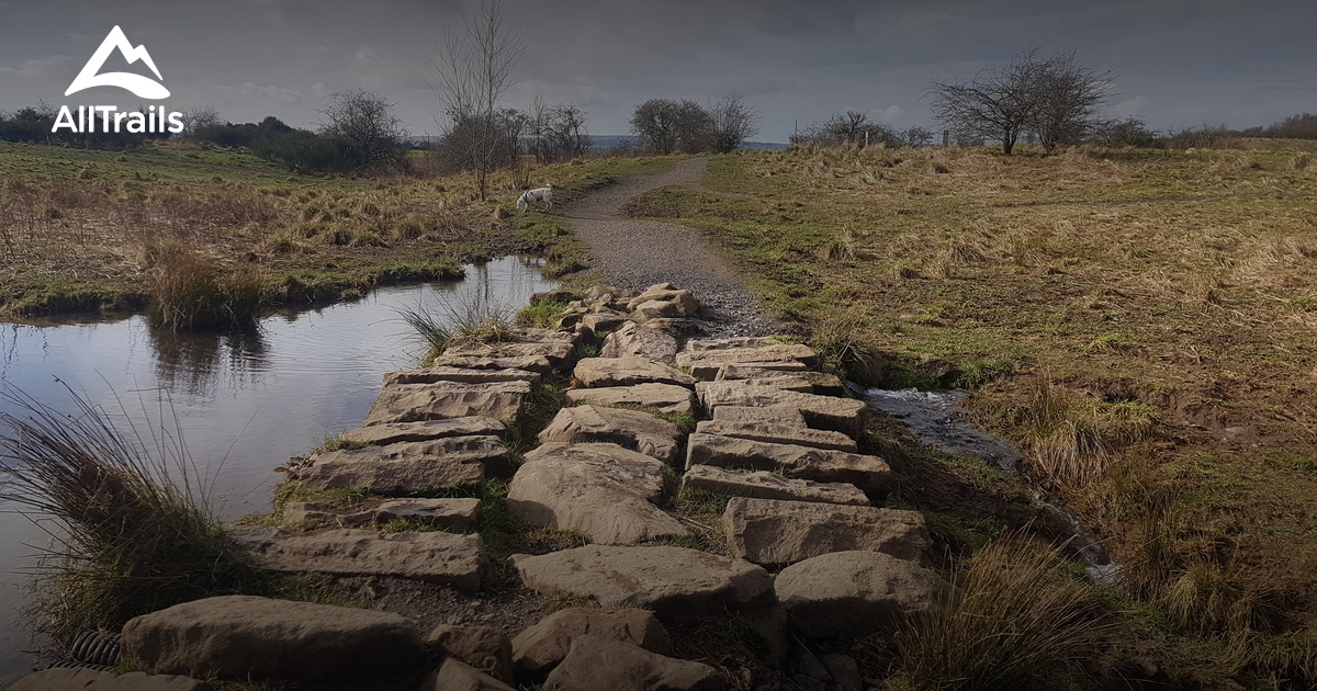 Los mejores senderos para correr - Parks Scotland Glasgow City 3 Cathkin Braes Country Park 10198930 20230918173528000000 1200x630 3 41695063398