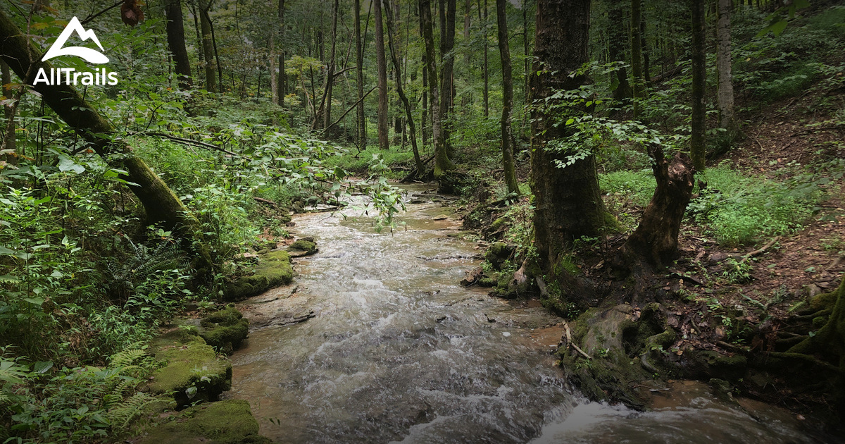 Best hikes and trails in Winding Stairs Park AllTrails