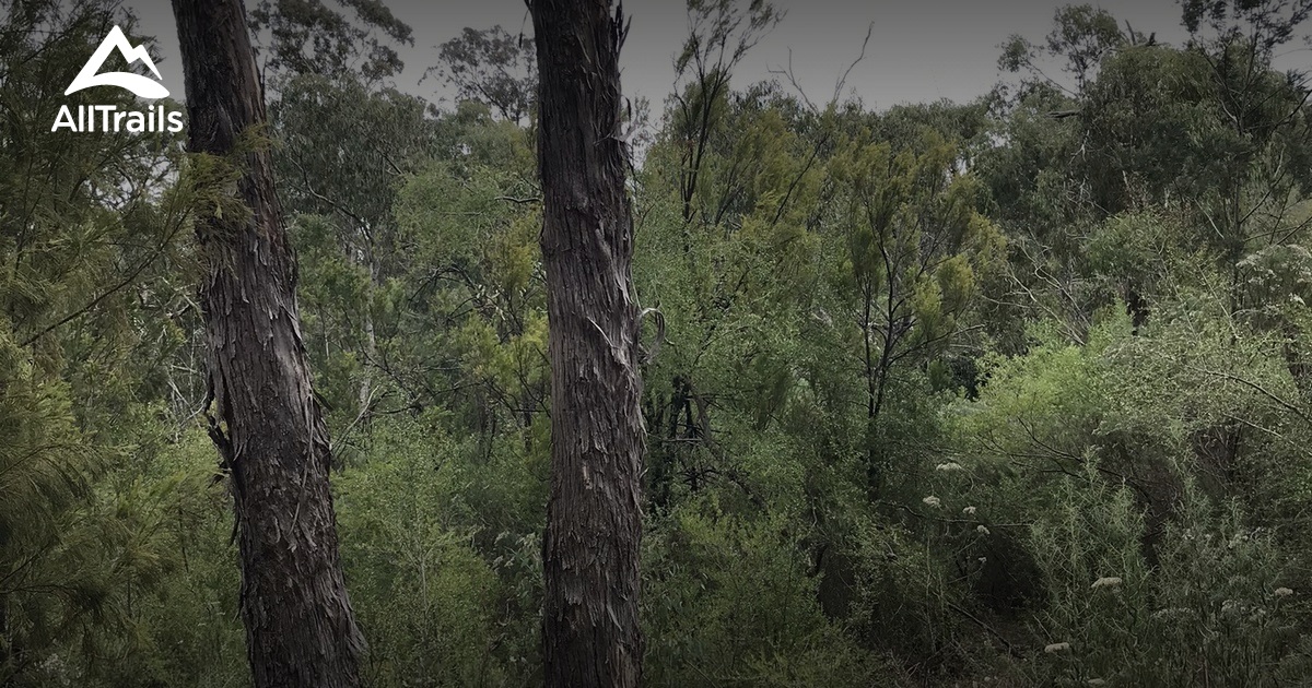 Best hikes and trails in Andrew Yandell Habitat Reserve AllTrails