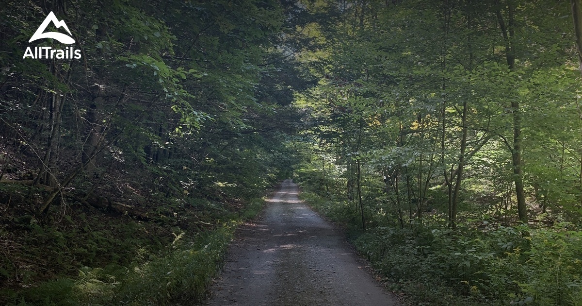 Best hikes and trails in Mount - Parks Us New York Mount Tom State Forest 10199671 20240222171551000000 1200x630 3 41708622192