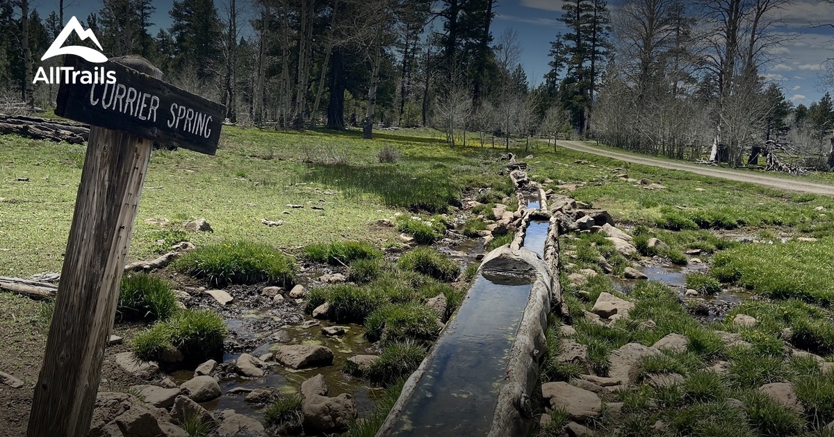 Die Besten Routen zum Angeln in - Parks Us Oregon Fremont Winema National Forest 10199849 20240312222439000000 1200x630 3 41710282301 
