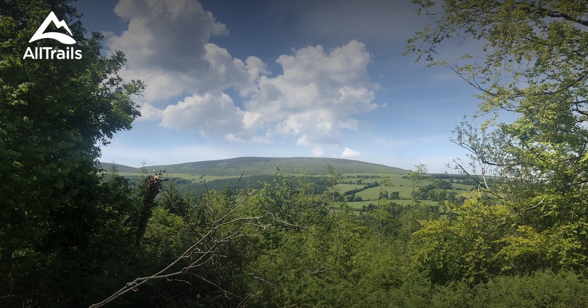 Best walking trails in Tinkincor - Parks Ireland County Waterford Tinkincor Wood 10200069 20240329044747000000 1200x630 3 41711687686 