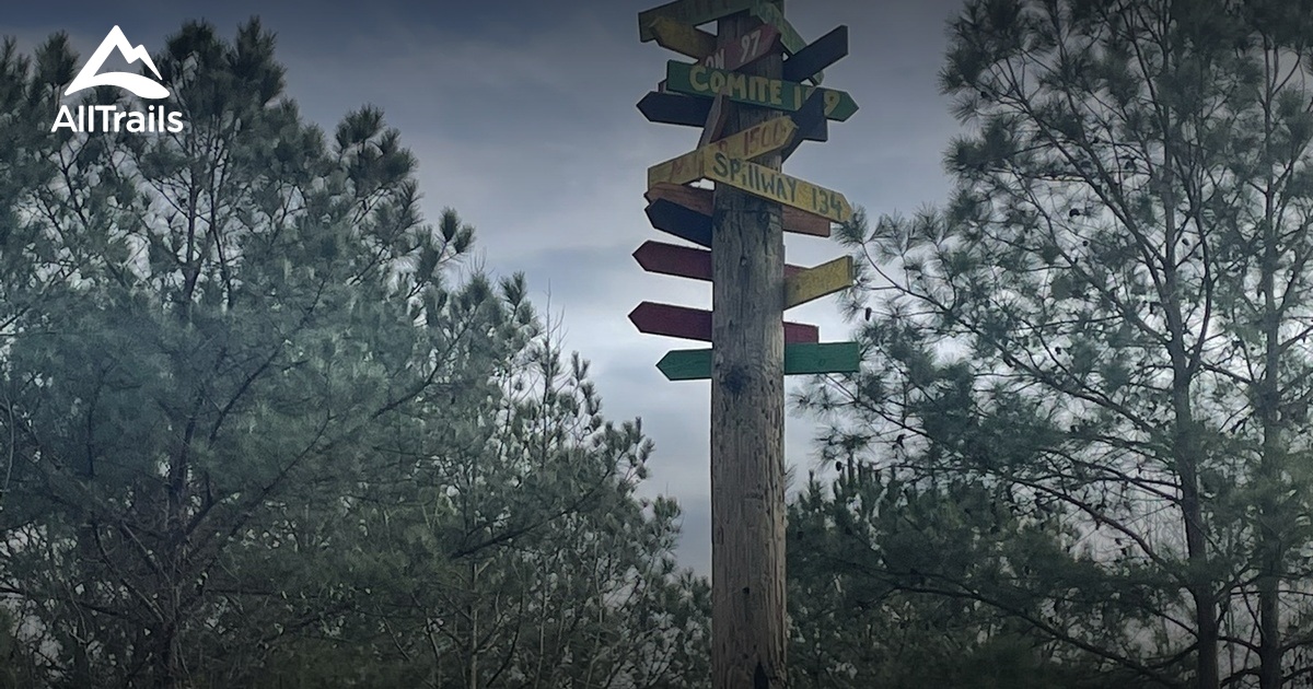 Best river trails in Petal River - Parks Us Mississippi Petal River Park 10200702 20240424181403000000 1200x630 3 41713982467 