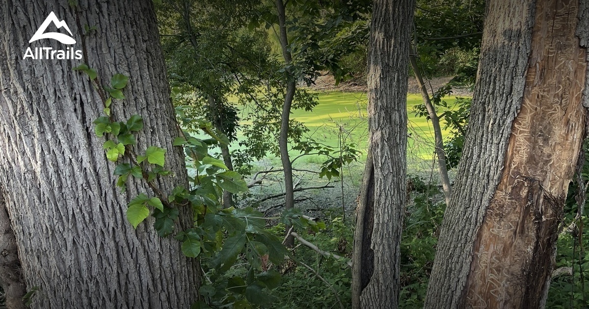 Best Hikes and Trails in Enos B. Godshall Park AllTrails