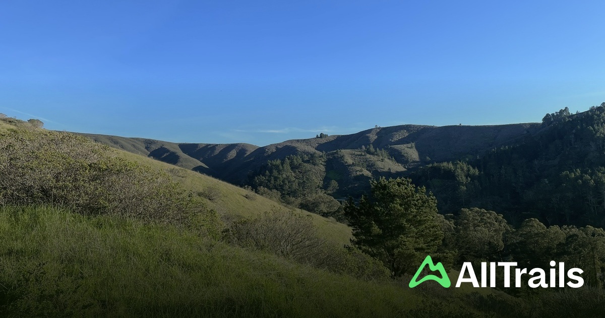 10 Best hikes and trails in Sweeney Ridge (GGNRA) | AllTrails