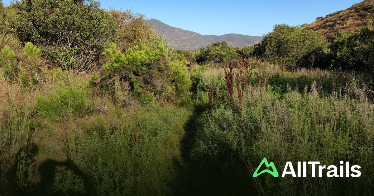 Best hikes and trails in Rancho Jamul Ecological Reserve | AllTrails