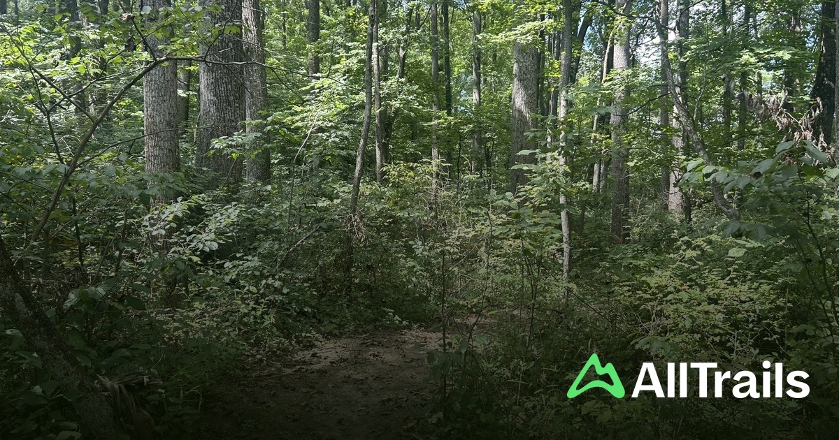 Best hikes and trails in Johnson Ridge State Nature Preserve | AllTrails