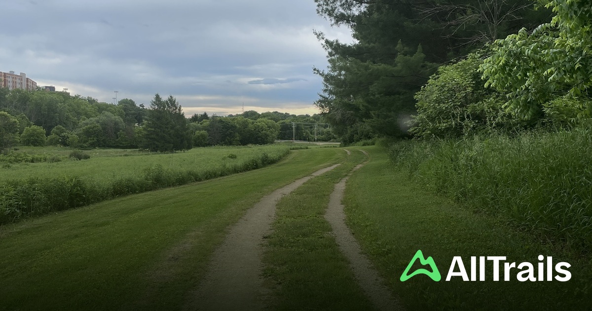 Best walking trails in Memorial Park | AllTrails
