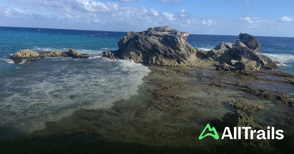 Best hikes and trails in Parque Escutórico Punta Sur | AllTrails