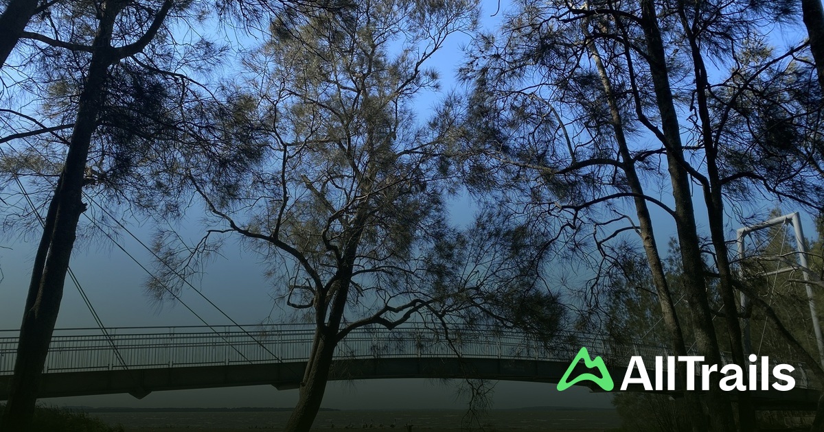 Best hikes and trails in Ewen Howlett Reserve | AllTrails