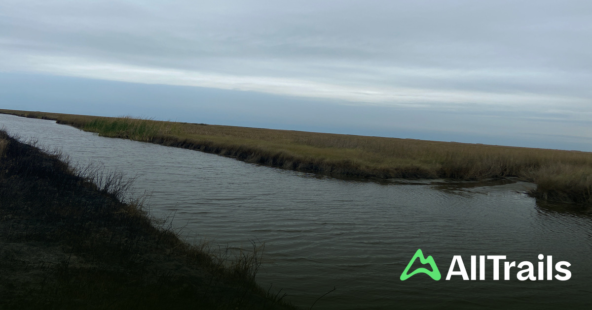 Best hikes and trails in Texas Point National Wildlife Refuge | AllTrails