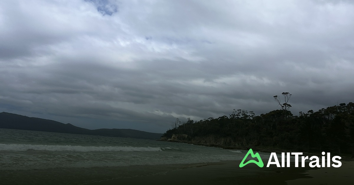 Best hikes and trails in Coal Point Conservation Area | AllTrails