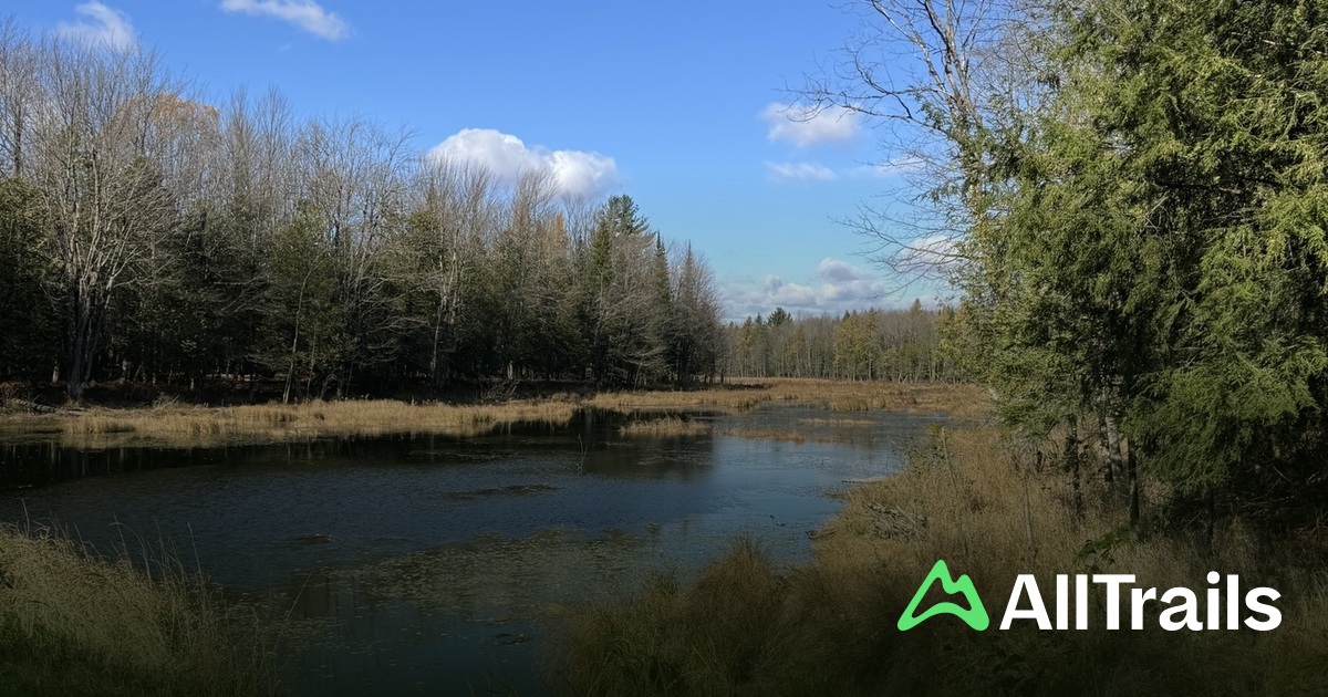 Best lake trails in Parc Régional de la forêt Drummond | AllTrails